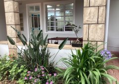 Umdoni Medical Practice – Front Veranda & Sitting Area