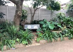 Umdoni Medical Practice – Relaxed Sitting Bench in Garden